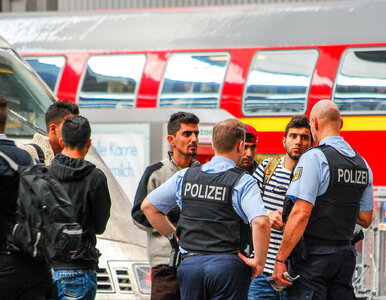 Miniatura: Migranci w Niemczech myślą o wyjeździe....