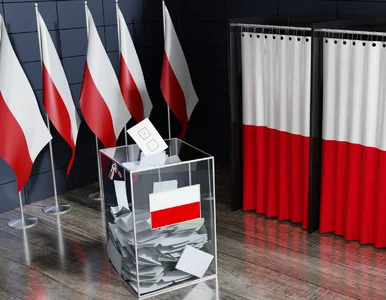 Miniatura: Łamanie ciszy wyborczej i dezinformacja....